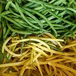 Farma Il Cipresso *