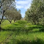 Farma Il Cipresso Vada