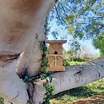 Farma Il Cipresso