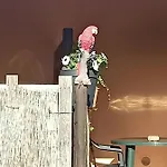 Il Cipresso * Vada