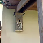 Il Cipresso