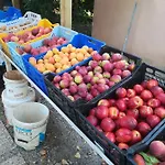 Farma Il Cipresso *