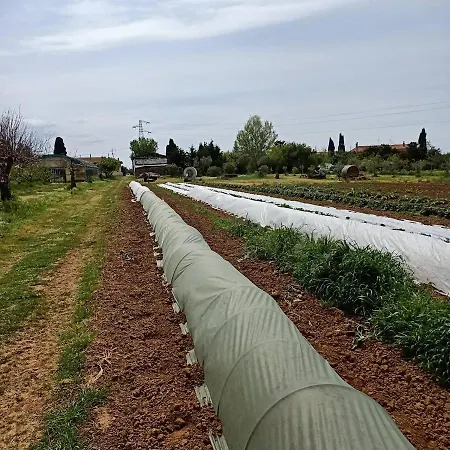Çiftlik konaklama Il Cipresso