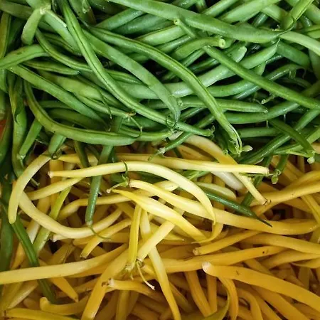 Çiftlik konaklama Il Cipresso *
