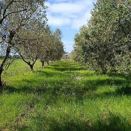 Çiftlik konaklama Il Cipresso Vada