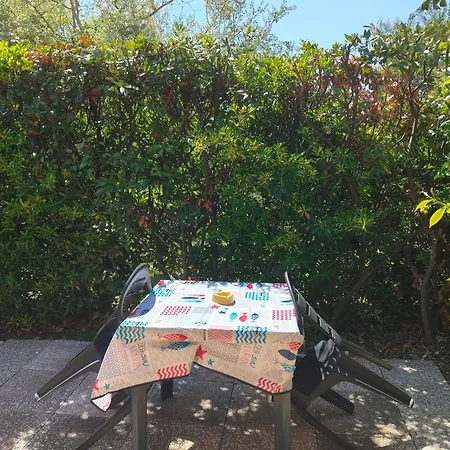 Il Cipresso *