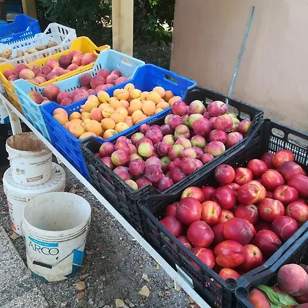 Çiftlik konaklama Il Cipresso *