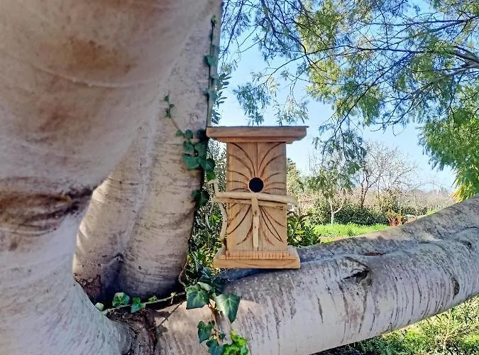 Alloggio per agriturismo Il Cipresso