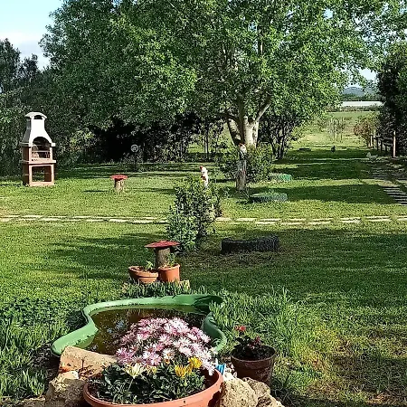 Il Cipresso * Vada