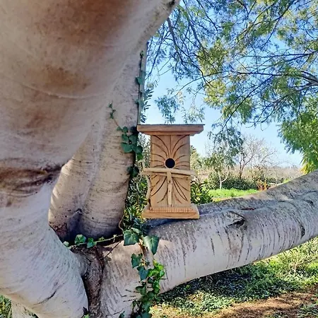 Alloggio per agriturismo Il Cipresso