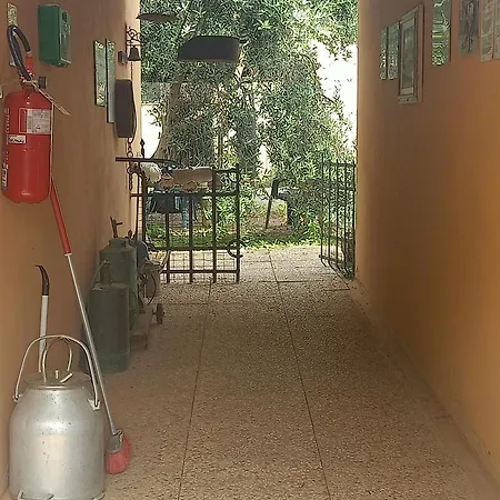 Il Cipresso * Vada