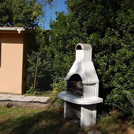 Il Cipresso